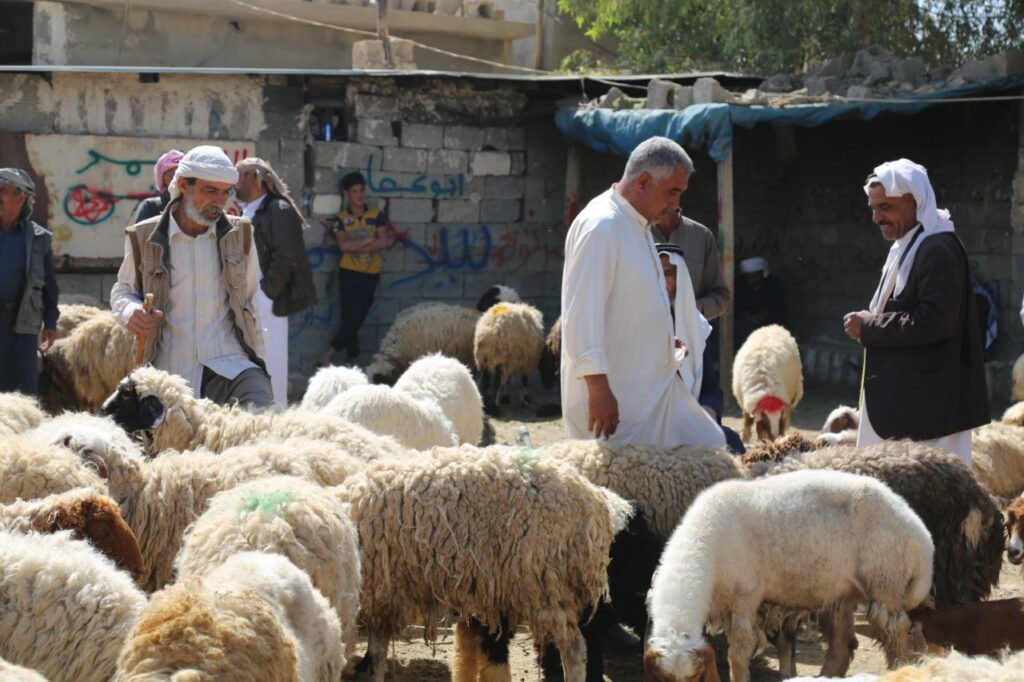 عجیب‌ترین آداب و رسوم ایرانیان در عید قربان؛ وقتی مناسک قربانی رنگ خرافه و سیاست می‌گیرد