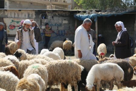 عجیب‌ترین آداب و رسوم ایرانیان در عید قربان؛ وقتی مناسک قربانی رنگ خرافه و سیاست می‌گیرد
