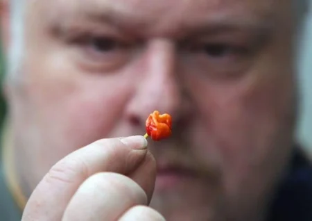 فلفل قاتل... حقایق و خطرات واقعی کارولینا ریپر