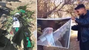 افشاگری امید سرلک تازه… آنچه هرگز منتشر نشد