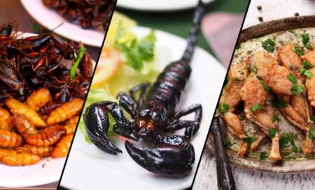 عجیب‌ترین غذاهایی که مردم در مناطق دورافتاده می‌خورند