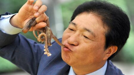 غذای زنده؟ میگو و اختاپوس در بشقاب شما حرکت میکنند غذای زنده؟ میگو و اختاپوس در بشقاب شما حرکت میکنند