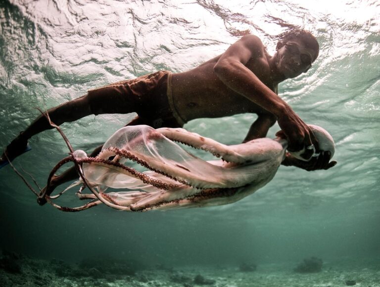 قوم باجائو؛ غجرهای دریا و سبک زندگی شگفت‌انگیز در دل اقیانوس