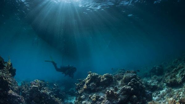 زیر اقیانوس چه میگذرد که زندگی را بالا نگه میدارد؟ زیر اقیانوس چه میگذرد که زندگی را بالا نگه میدارد؟