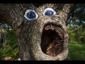 وقتی طبیعت شهرهای متروکه را پس می‌گیرد