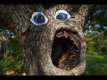 وقتی طبیعت شهرهای متروکه را پس می‌گیرد