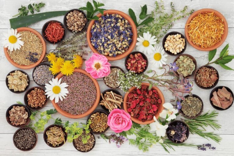 جایگزین‌های گیاهی دارو ایران چه زمانی ایمن هستند؟